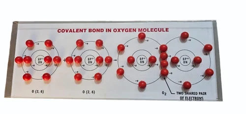 Covalent Bond Oxygen Molecule Model