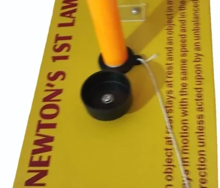 Newton 1st Law Model