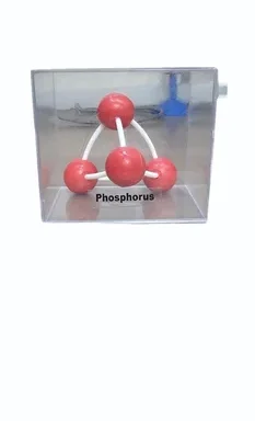 Phosphorus Laboratory Model