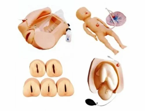 Advanced Abdominal Palpation Model