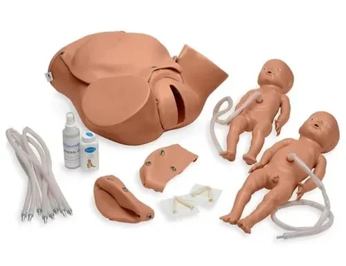 Gynecological Examination Model