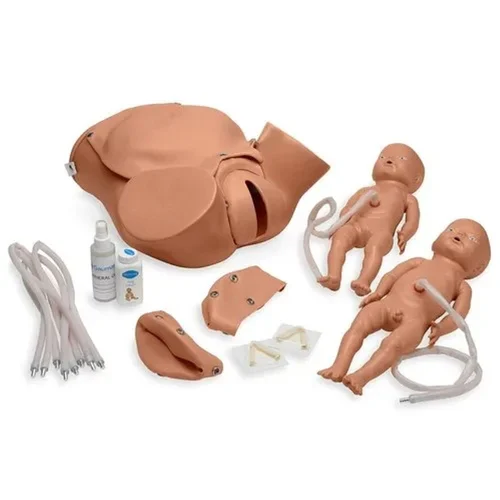 Gynecological examination model used for pelvic exam, Pap smear, and gynecology procedure training
