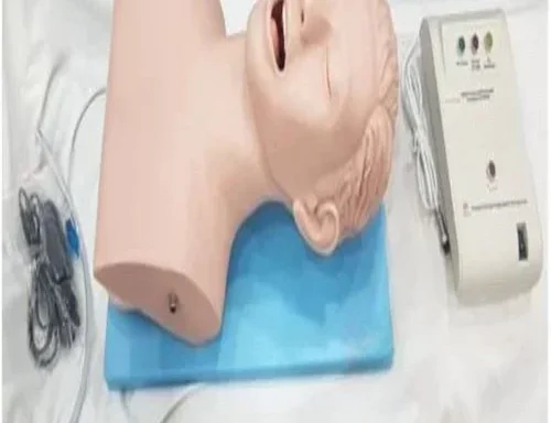 Airway Intubation Models