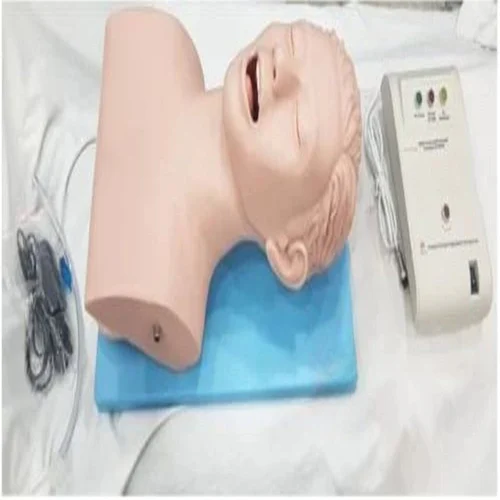 Airway intubation model used for training in endotracheal intubation and airway management