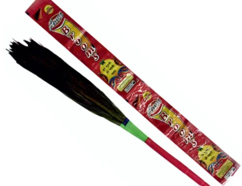 ANVI Panja Broom Jhadu