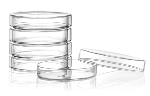 Auxiliary Items Petri dish with a large lid Glass, borosilicate
