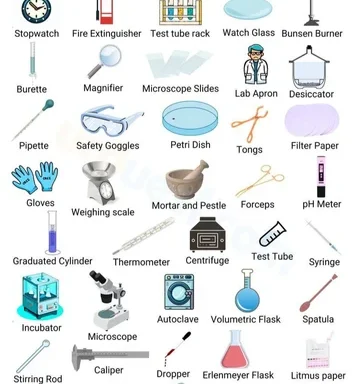 Biology Lab Equipment & Model