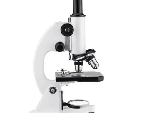 Student Compound Microscope
