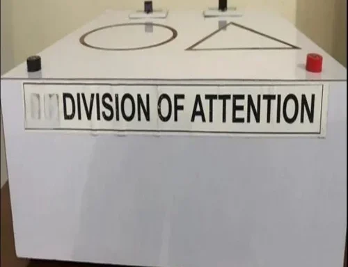Division of Attention Apparatus for Cognitive Psychology Learning