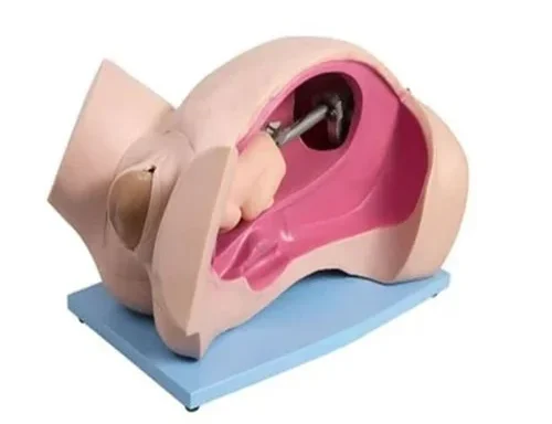 Leopold Maneuver Simulator