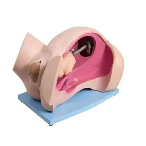 Leopold maneuver simulator used for abdominal palpation and fetal position assessment training