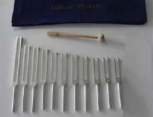 Tuning Fork Level Switch