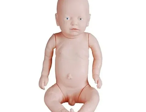 Newborn Baby Model