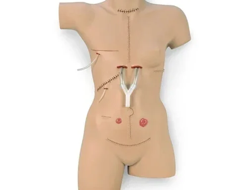 Surgical Suture Model