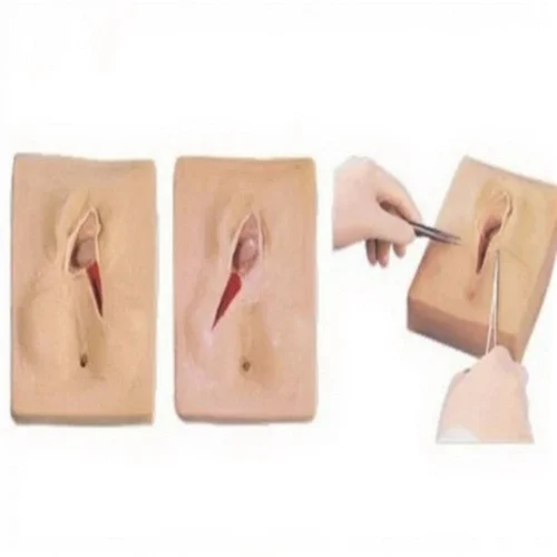 Surgical suture model used for practicing wound closure and tissue approximation techniques
